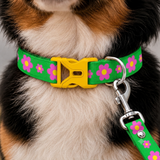 PawsIndia Pink Daisy Printed Collar & Leash Set for Dogs & Cats