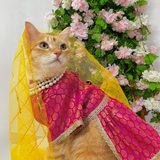 Pawsindia Traditional Royal Brocade Dress for Cats - Red | Ethnic Festive Wear