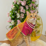 Pawsindia Traditional Royal Brocade Dress for Cats - Red | Ethnic Festive Wear