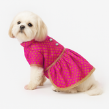 Pawsindia Traditional Royal Brocade Dress for Dogs - Pink | Ethnic Festive Wear