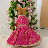 Pawsindia Traditional Royal Brocade Dress for Cats - Red | Ethnic Festive Wear