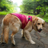 Pawsindia Traditional Royal Brocade Kurta for Dogs  - Pink | Ethnic Festive Wear