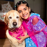 PawsIndia Traditional Royal Brocade Tuxedo For Pets - Pink | Ethnic Festive Wear