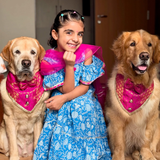 PawsIndia Traditional Royal Brocade Tuxedo For Pets - Pink | Ethnic Festive Wear
