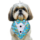 PawsIndia Rainbow Vibes Pattern Tuxedo Bandana With Matching Bow For Pets