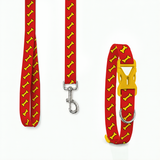 PawsIndia Bones Printed Collar & Leash Set for Dogs & Cats