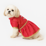 Pawsindia Traditional Gold Printed Dress for Dogs - Red | Ethnic Festive Wear
