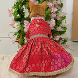 Pawsindia Traditional Royal Brocade Dress for Cats - Red | Ethnic Festive Wear