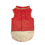 Pawsindia Traditional Royal Brocade Kurta  for Cats - Red | Ethnic Festive Wear