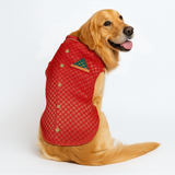 Pawsindia Traditional Royal Brocade Kurta for Dogs - Red | Ethnic Festive Wear