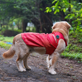 Pawsindia Traditional Royal Brocade Kurta for Dogs - Red | Ethnic Festive Wear