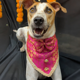 PawsIndia Traditional Royal Brocade Tuxedo For Pets - Pink | Ethnic Festive Wear