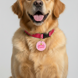 Customized Pet Id Tag - Rescued Princess