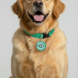 Customized Pet Id Tag - Silently Judging - Green