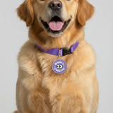 Customized Pet Id Tag - Silently Judging - Purple