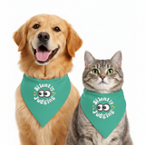 PawsIndia Pet Bandana - Silently Judging - Green