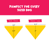 PawsIndia Pet Bandana - IPL Edition- Chennai Supaw Kings