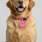 Customized Pet Id Tag - Snack Slut