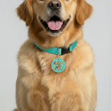Customized Pet Id Tag - Spoiled As Fuck