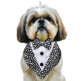 PawsIndia Starry Night Pattern Tuxedo Bandana With Matching Bow For Pets