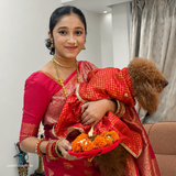 Pawsindia Traditional Royal Brocade Dress for Dogs - Red | Ethnic Festive Wear