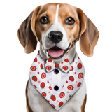 PawsIndia Strawberry  Pattern Tuxedo Bandana With Matching Bow For Dogs