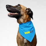 PawsIndia Pet Bandana - Sundar