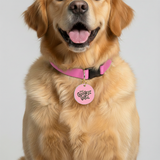 Customized Pet Id Tag - The Goodest Girl