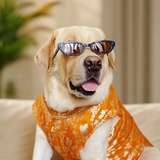Pawsindia Traditional Royal Zari Kurta For Dogs - Orange