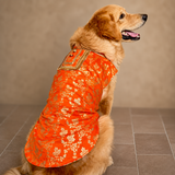 Pawsindia Traditional Royal Zari Kurta For Dogs - Orange