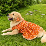 PawsIndia Traditional Royal Zari Dress For Dogs - Orange