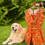 PawsIndia Traditional Royal Zari Dress For Dogs - Orange