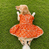 PawsIndia Traditional Royal Zari Dress For Dogs - Orange