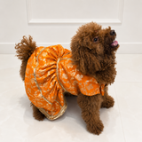 PawsIndia Traditional Royal Zari Dress For Dogs - Orange