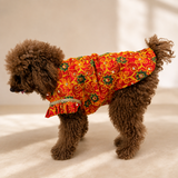 PawsIndia Traditional Red Maharaja Kurta for Dogs – Limited Edition