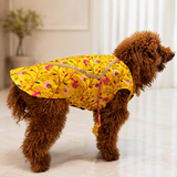 PawsIndia Traditional Marigold Yellow  Prince Kurta for Dogs - Limited Edition