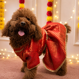 Pawsindia Traditional Royal Brocade Dress for Dogs - Red | Ethnic Festive Wear