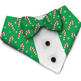 PawsIndia Christmas Candy Cane Pattern Tuxedo Bandana With Matching Bow