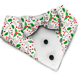 PawsIndia Christmas Holly Berry Pattern Tuxedo Bandana With Matching Bow for Dogs & Cats