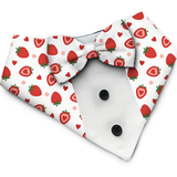 PawsIndia Strawberry  Pattern Tuxedo Bandana With Matching Bow For Pets