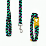 PawsIndia UFO Printed Collar & Leash Set for Dogs & Cats