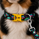 PawsIndia UFO Printed Collar for Dogs & Cats