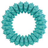 Trixie - Denta Fun Ring in Mint Flavour with Natural Rubber (12 cm)
