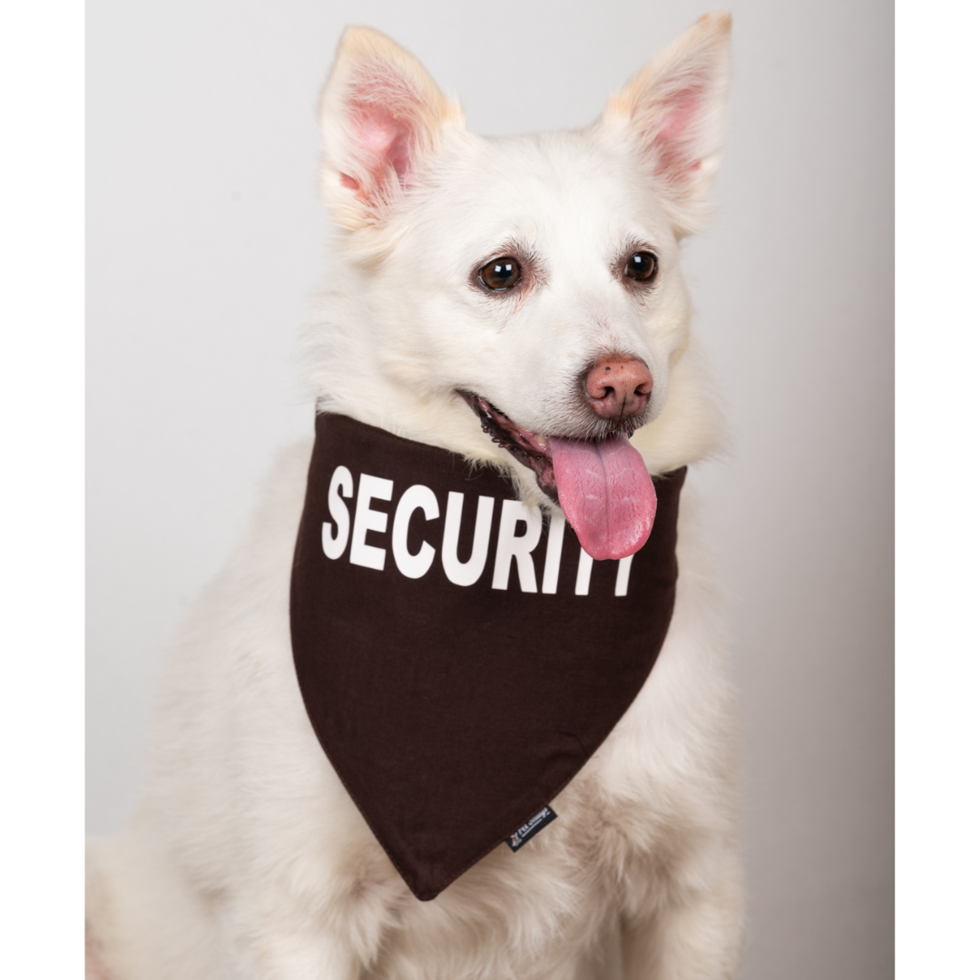 Security Bandana- Brown