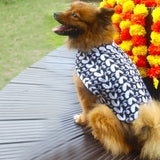 Vastramay Dogs' Pure Cotton Black Chikankari Kurta
