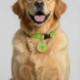 Customized Pet Id Tag -  Weird Dog Club
