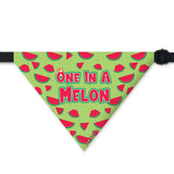 PawsIndia Pet Bandana - One In Melon