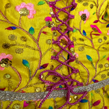 PawsIndia Traditional Marigold Yellow Princess Dress for Dogs – Limited Edition