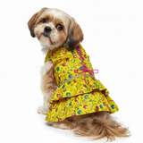 PawsIndia Traditional Marigold Yellow Princess Dress for Dogs – Limited Edition