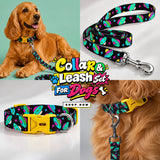 PawsIndia UFO Printed Leash for Dogs & Cats